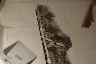 大田卫生间漏水检测电话
